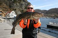 7. Tag: Gefangen auf Sicht in 3 m tiefen Wasser 7. Tag: Gefangen auf Sicht in 3 m tiefen Wasser