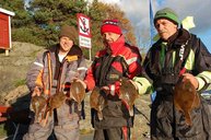 4. Tag: Platten Trio 4. Tag: Platten Trio