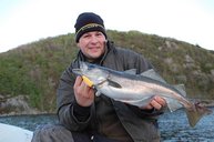 Letzter Tag: Der Meerforellen-Testblinker Snaps von Fisherman' Partner aus Flensburg brachte zwar keine Meerforellen... Pollacks konnten ihm allerdings kaum widerstehen Letzter Tag: Der Meerforellen-Testblinker Snaps von Fisherman' Partner aus Flensburg brachte zwar keine Meerforellen... Pollacks konnten ihm allerdings kaum widerstehen