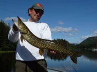 Bestes Juniwetter – schönste Fische