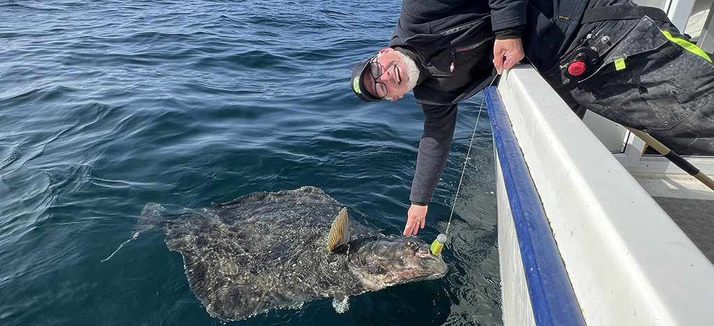 2 Meter+ Heilbutt vor Sudureyri auf Island! 