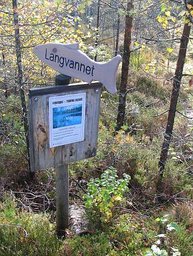 Auf dem Weg zu einem der 50 Seen des Forellengebietes Vestfjella