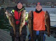 3. Tag: Angler mit Ausdauer wurden belohnt... Respekt! 3. Tag: Angler mit Ausdauer wurden belohnt... Respekt!