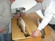 Was macht man nur mit diesem Fisch?