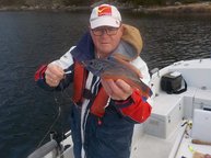 7. Tag: Frank mit Lippfisch als Beifang beim Plattfische angeln