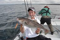Schellfisch über 3 kg Schellfisch über 3 kg