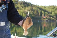 Letzter Tag: Plattfischangeln vom Boot direkt vor den Ferienhäusern Letzter Tag: Plattfischangeln vom Boot direkt vor den Ferienhäusern