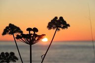 bezaubernder Sonnenuntergang kurz vor Mitternacht