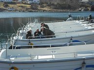 Bootseinweisung Bootseinweisung