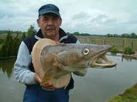 Norbert mit 25,0 kg Kopfpräparat