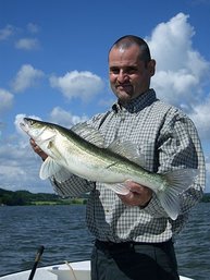 Wunderschöne Fische an der Glomma!