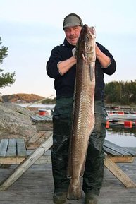 Der schwerste Fisch der Woche - Leng 17 kg