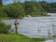 Die Glomma bietet auch viele Stellen zum Fischen vom Ufer aus...