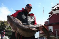 4. Tag: Manfred Grimm mit seinem 20 Kilo Leng – Glückwunsch!