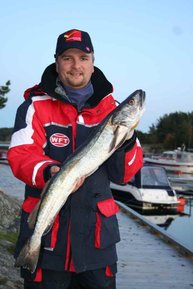 Der Tregde Champion 2009 mit super Seehecht, einer seiner 4 kapitalen Fänge während des Festivals. Der Tregde Champion 2009 mit super Seehecht, einer seiner 4 kapitalen Fänge während des Festivals.