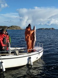 5. Tag: Mit dem schönen Wetter kamen auch die schönen Fische