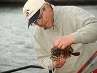 Der Autor mit einem Seeskorpion - gefangen vom Steg aus