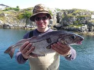 5. Tag: Neben Leng ein häufiger Beifang: Schellfisch
