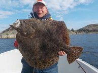 Plattfische in Tregde Plattfische in Tregde