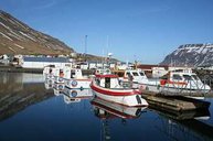Der Hafen von Sudureyri mit unserer Bootsflotte