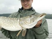 Testreise mit Rute&Rolle – Hechtfischen Südnorwegen