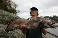 3. Tag: Der Fang des Tages – der 6,5 kg Lumb von Finn
