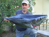 Anglerglück auf der Adria, Thomas Hieke mit mächtigem Thunfisch