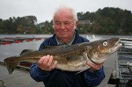 4. Tag: Horst - unser ältester Angler mit schönem Dorsch