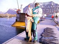 Hans-Jüregn stemmt seinen Dorschbrummer von 25,6kg in Flateyri am 15.05.09
