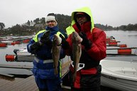 16. Auch bei Regen beißen Fische