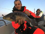 7. Tag: Toller Lippfisch! 7. Tag: Toller Lippfisch!