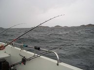 3. Tag: Regen und Wind – heute leider sehr schlechte Angelbedingungen