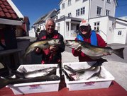 8. Daiwa/Cormoran Lengfestival in Nautnes Fiskevær