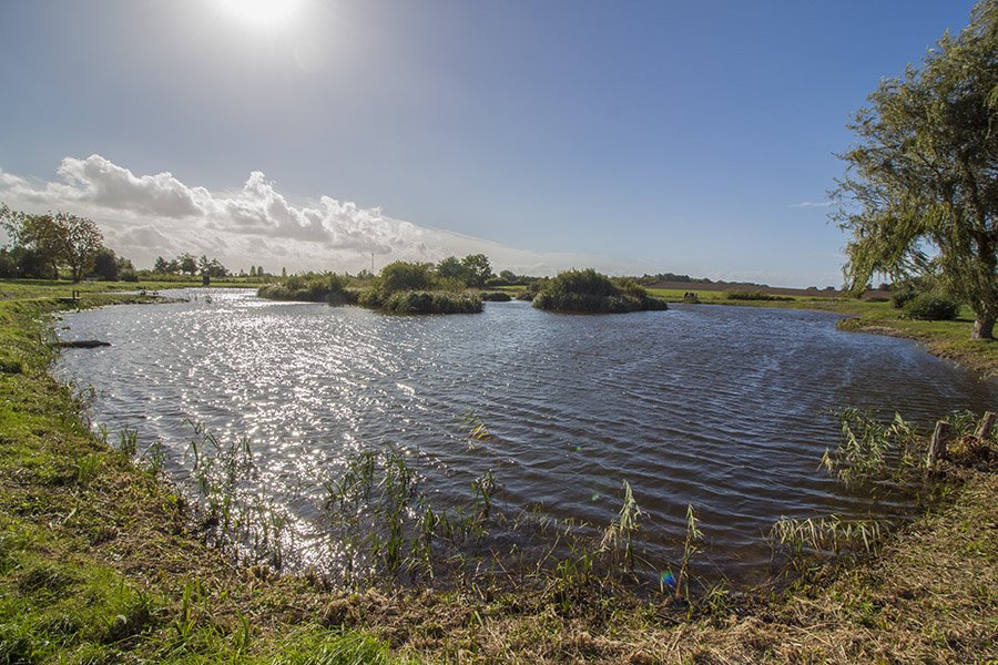 Forellensee Langelands Lystfiskersø