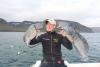 Julien Wrede mit einer Steinbeißerdoublette. Gefangen im Fjord von Flateyri.