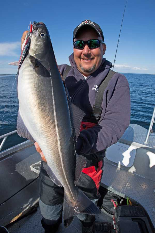 Einer geht noch! Einer geht noch!