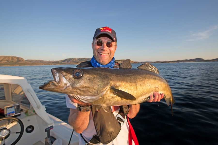 Klasse Pollack vor Flatanger