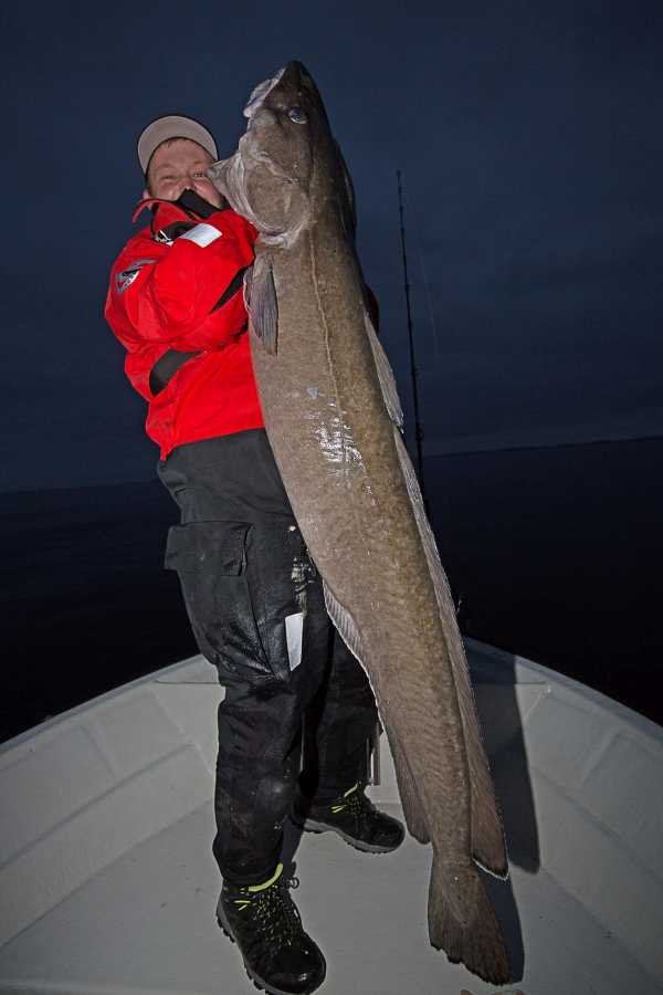 Lengkracher in Flatanger