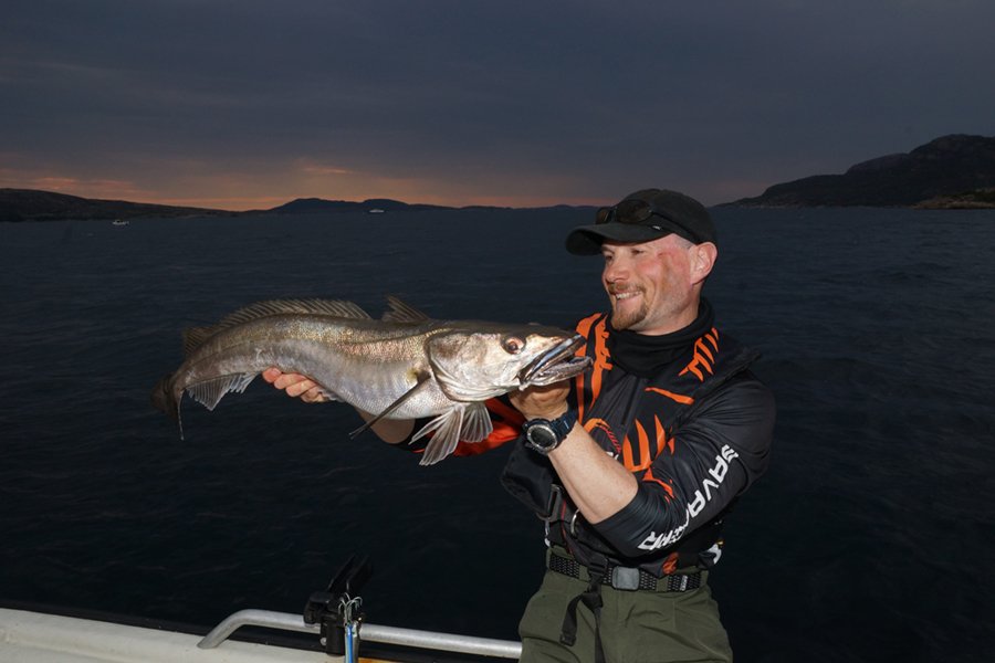 Schöner Flatanger Seehecht