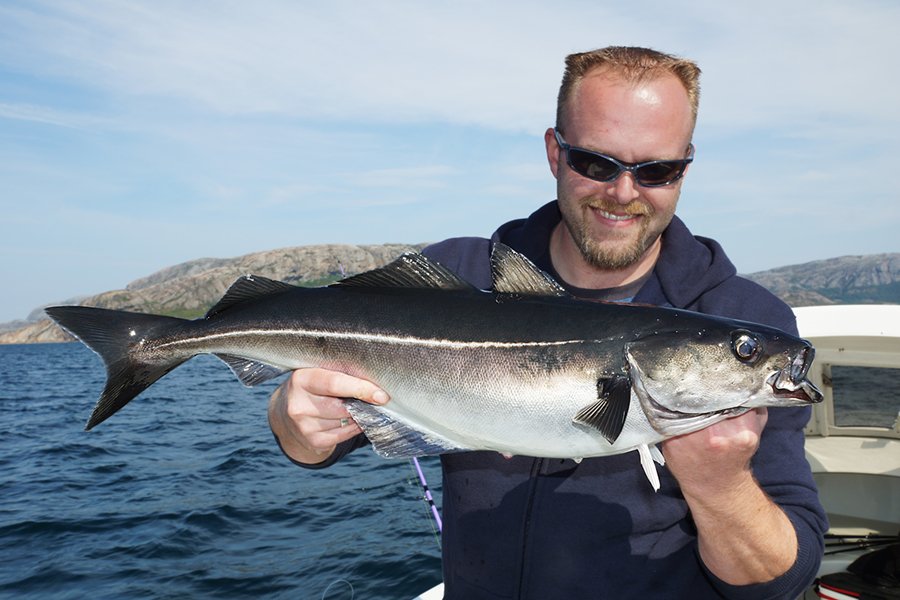 Die Köhler-Gründe sind in ca.10 Bootsminuten erreicht.