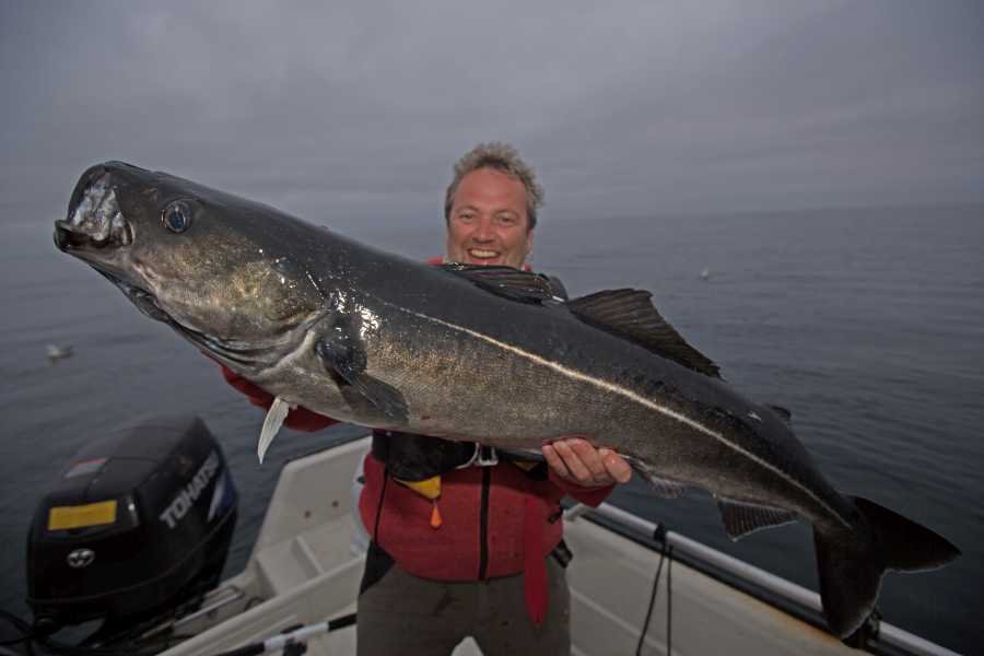 Rainer Korn mit schönem Köhler vor Flatanger.