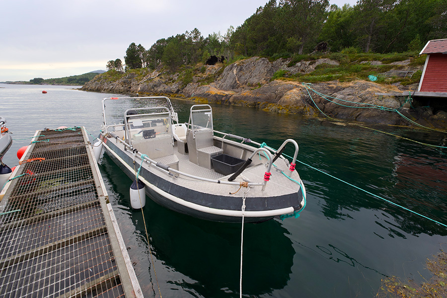 Ein weiterer Bootstyp aus der Bootsflotte.