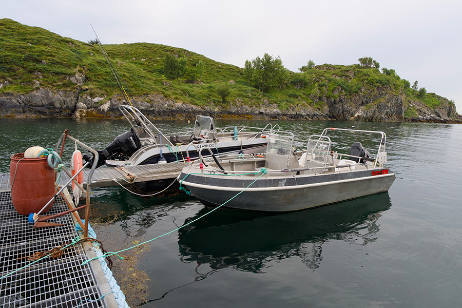 Ein Teil der Bootsflotte.