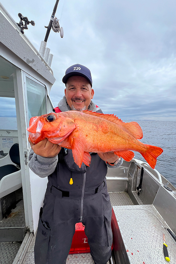 Solche kapitalen Rotbarsche sind hier keine Seltenheit.