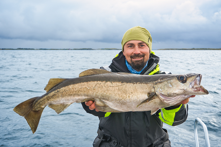 Brasøy Sjøfiske