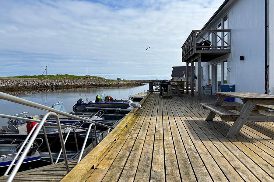 Træna Arctic Fishing