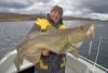 Horst Hennings hat gut lachen - dieser 25-Kilo-Dorsch biss im September mitten im Saltstraumen.