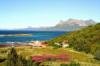 Der Bootsanleger und die Gipfel der Lofoten im Hintergrund.