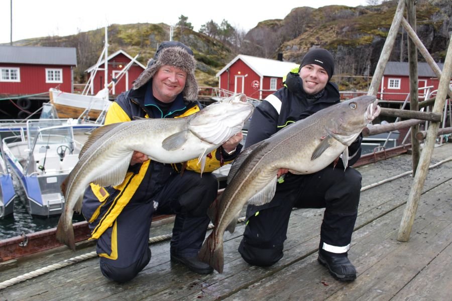 Skreiangeln vom Feinsten im März und April!