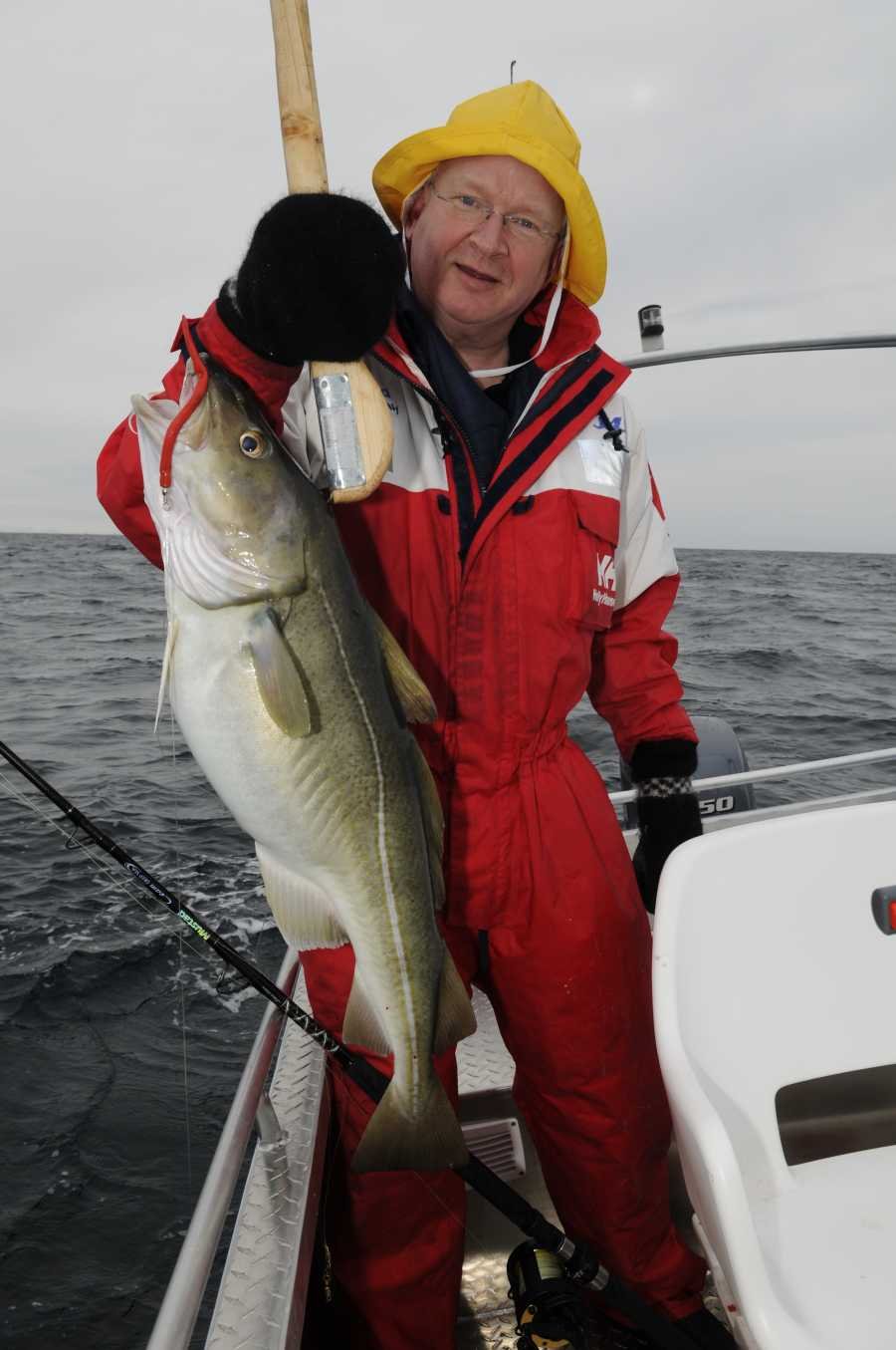 Zielfisch im Vestfjord: Dorsch.